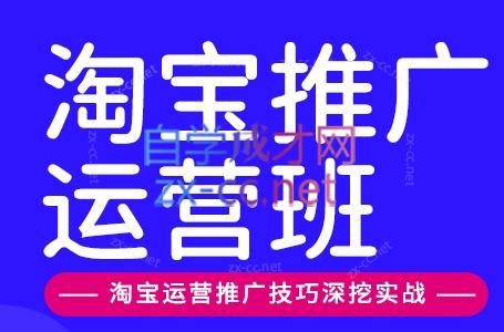 美迪电商·淘宝高级运营班+推广运营班(更新10月)-橙心云网创