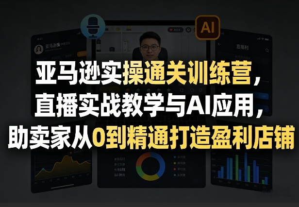 亚马逊实操通关训练营，直播实战教学与AI应用，助卖家从0到精通打造盈利店铺(更新1016)-橙心云网创