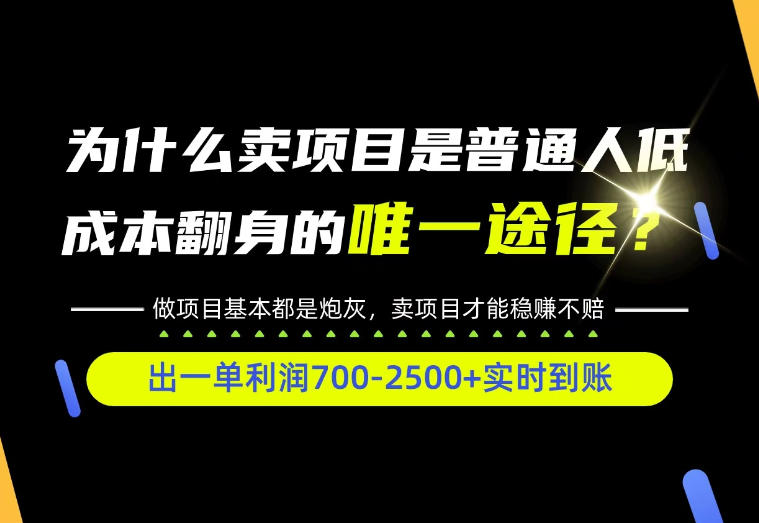 普通人如何靠互联网賺取自己的第一桶金！全类目实操型教学，看完你全都懂了！【揭秘】-橙心云网创