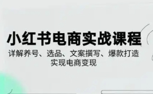 小红书从0-1实操课(2023-2025),详解养号、选品、文案撰写、爆款打造实现电商变现-橙心云网创