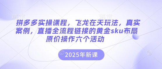 拼多多实操课程,飞龙在天玩法,真实案例,直播全流程链接的黄金sku布局原价操作六个活动-橙心云网创