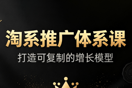 大山·淘系推广体系课-橙心云网创