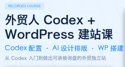 大卫·外贸人Codex + WordPress建站课(更新8月)-橙心云网创