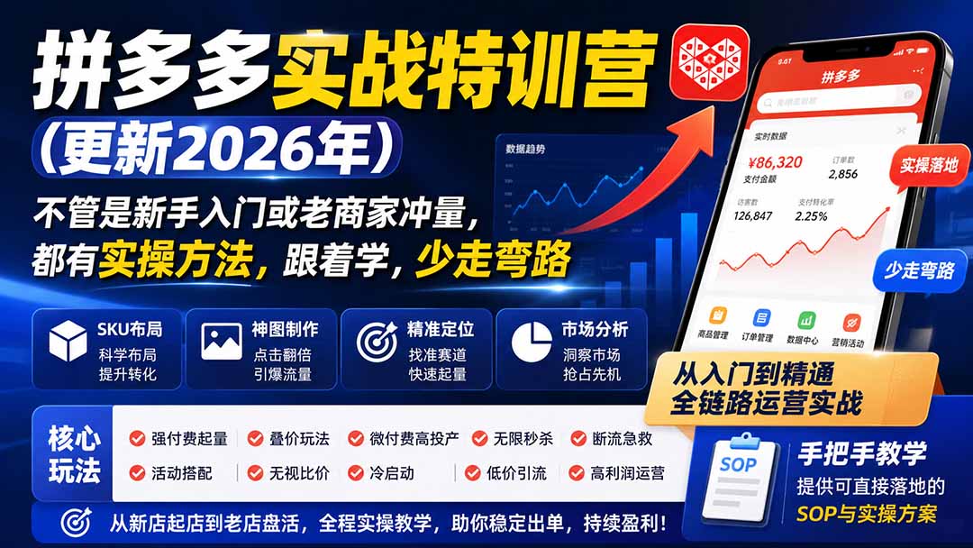 拼多多实战特训营(更新26年0831-橙心云网创