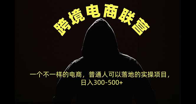 跨境电商联营，一个不一样的电商，普通人可操作日入300-500+-橙心云网创