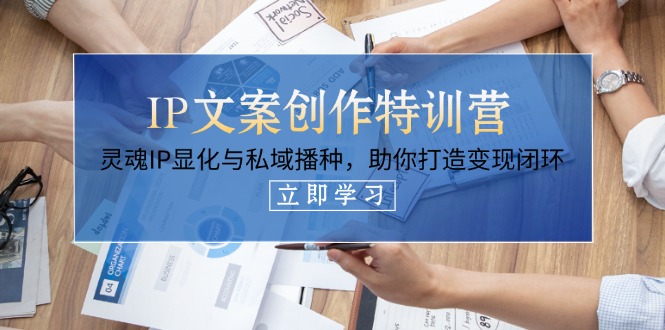 (14330期)IP文案创作特训营,灵魂IP显化与私域播种,助你打造变现闭环(14节课)-橙心云网创