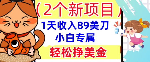 2个新项目,轻松挣美金, 1天收入89美刀,小白专属,干货分享-橙心云网创