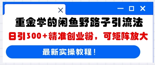 重金学的闲鱼野路子引流法,日引300+精准创业粉,可矩阵放大-橙心云网创
