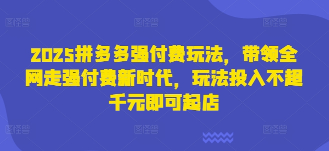 2025拼多多强付费玩法,带领全网走强付费新时代,玩法投入不超千元即可起店-橙心云网创