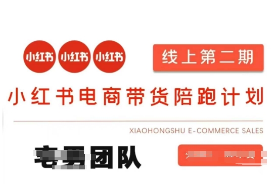 小红书电商带货课2期，月利润20个的小红书电商的有货源，无货源，虚拟产品，付费投流等整套玩法-橙心云网创