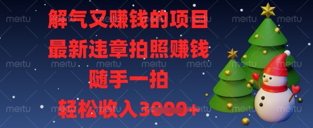 解气又挣钱的项目，最新违章拍照挣钱，随手一拍，轻松收入数张【揭秘】-橙心云网创